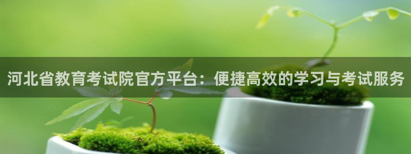 新宝5娱乐招商