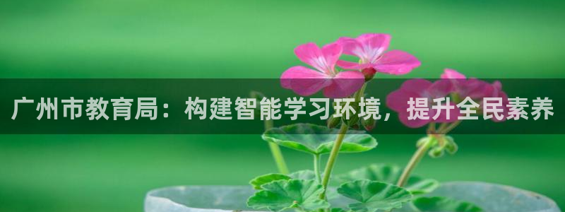 新宝5招商222111