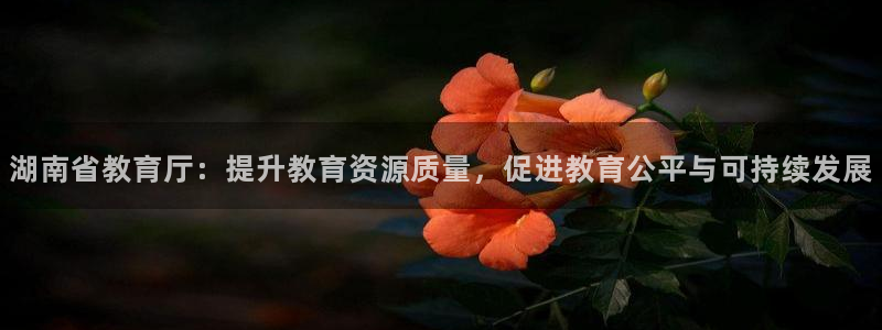 新宝5是谁的