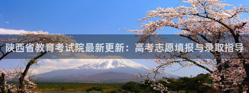 新宝5登陆