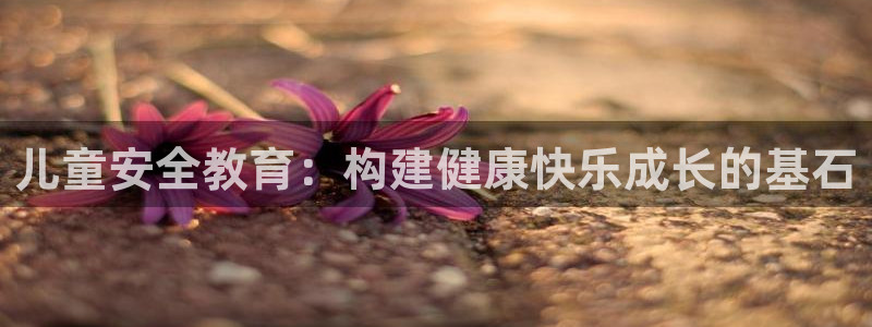 新宝5娱乐学