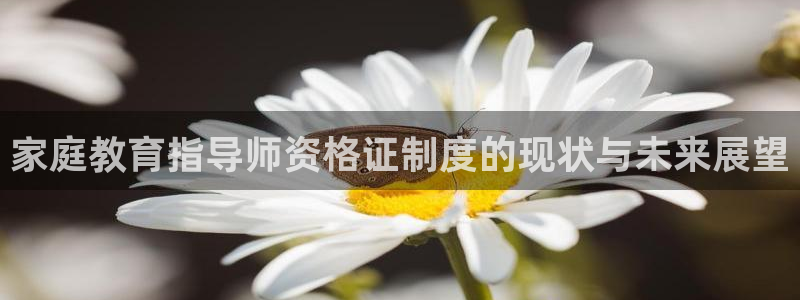 新宝5如何下载