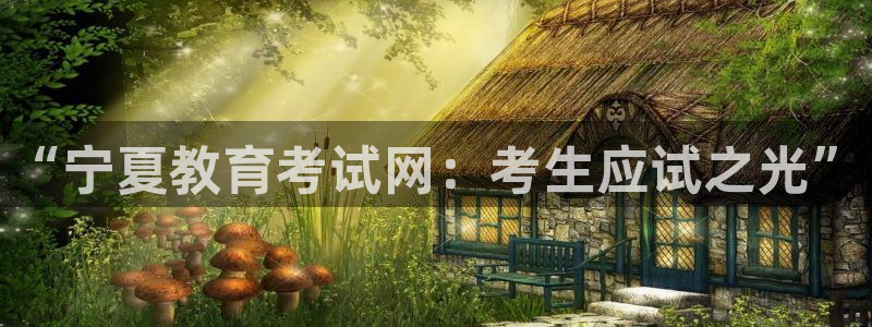 新5宝