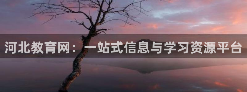 新宝股东王听2 5 5