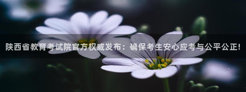 新宝5安卓版