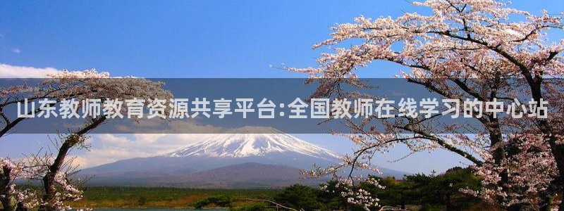 有人知道新宝5么
