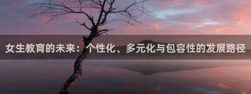 新宝5是什么样子的