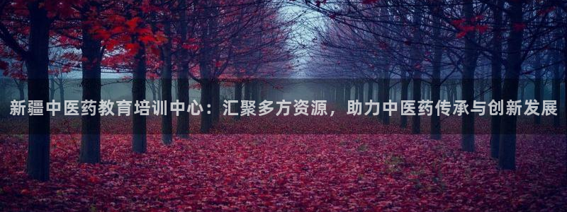 新宝5是谁的