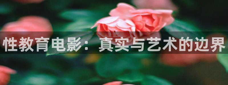 新宝5吕74OOO5