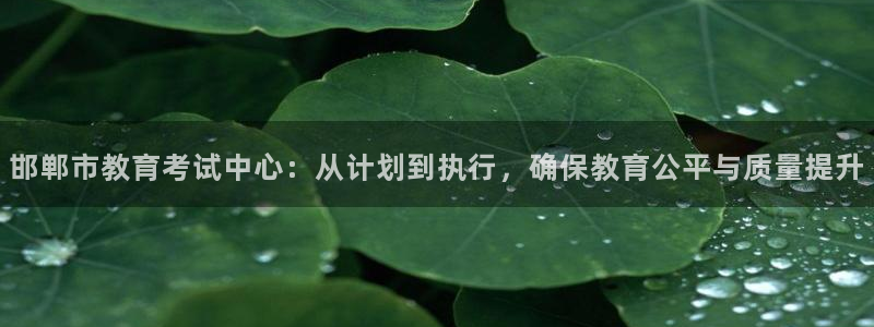 新宝5娱乐主管