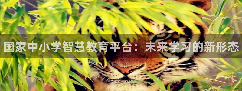 新宝5娱乐方