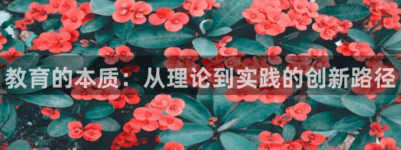 新宝5 唯一
