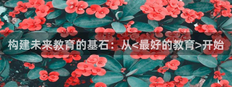新宝5是什么样子的