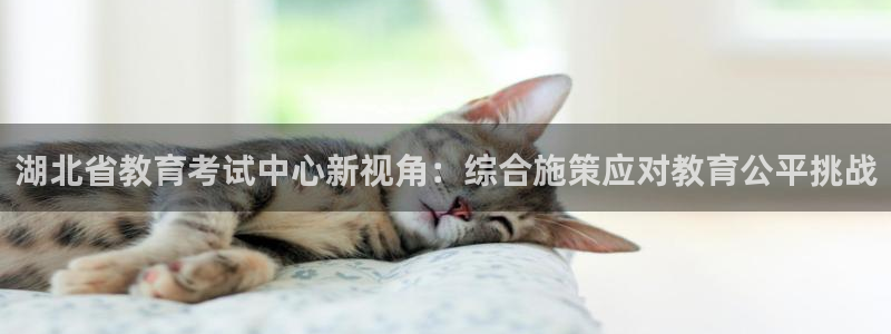 新宝5测速登陆