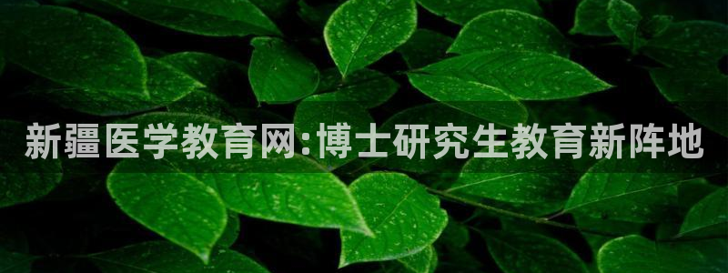 新宝5娱乐如