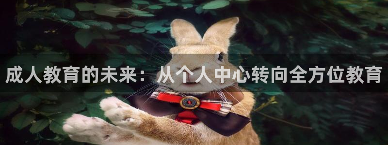 新宝5总代