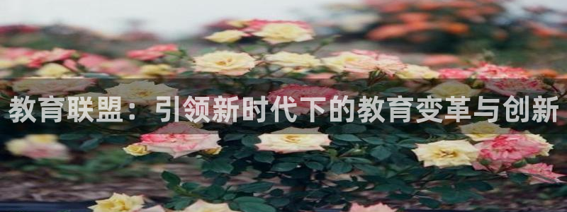 新宝5是谁的