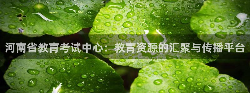 新宝5系列