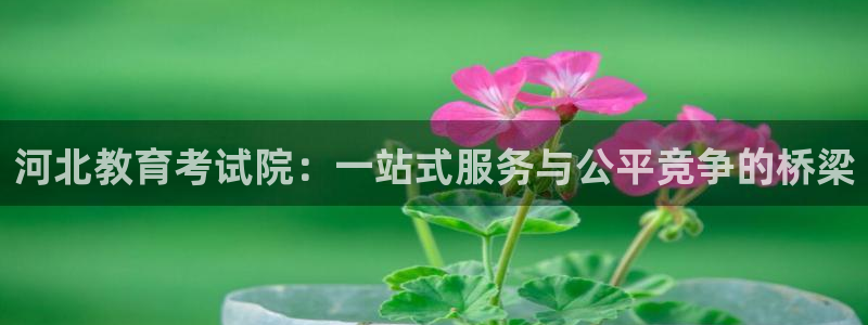 新宝5官方下载地址