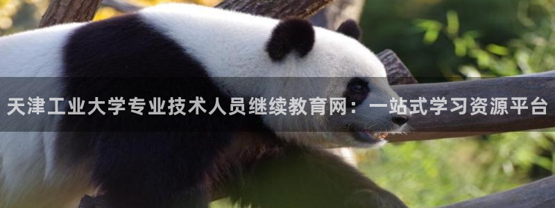 新宝娱乐5入口