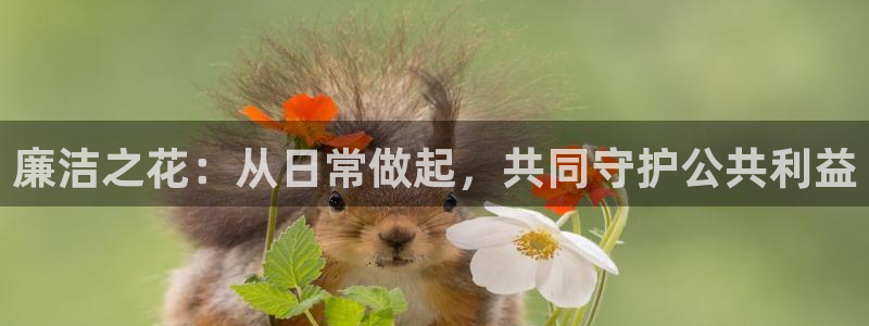 新宝5网站
