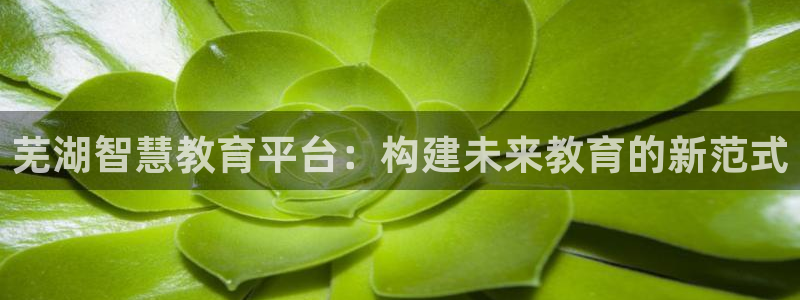 新宝j2O5O5O