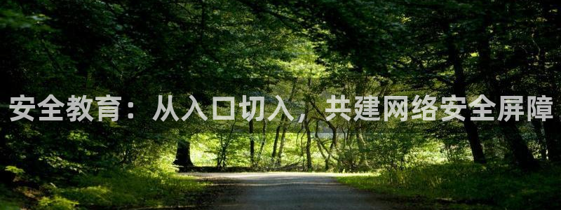 新宝5球维33 300