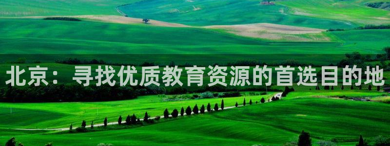 新宝5是谁的