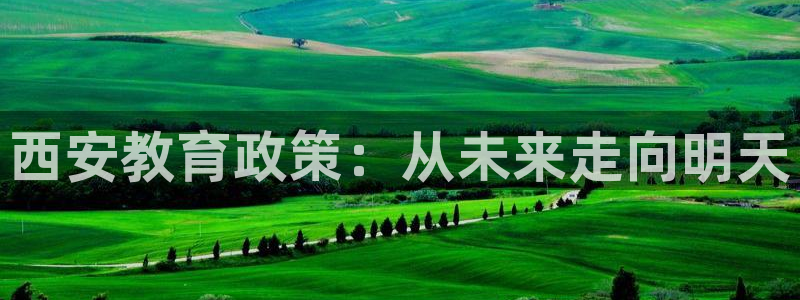 新宝5测速线路