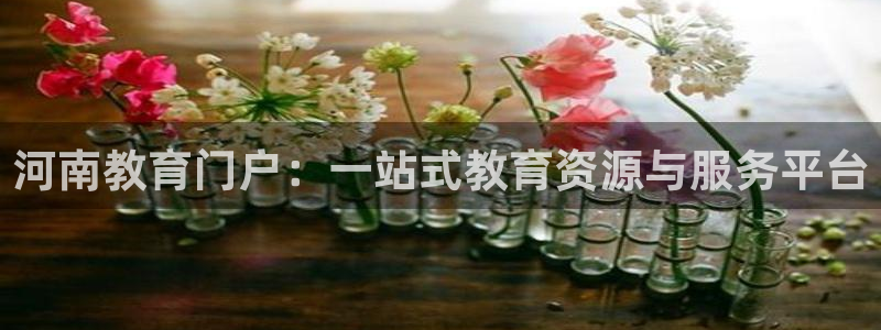 新宝cR一5