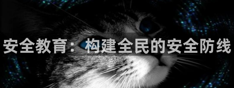 新宝5平台霸
