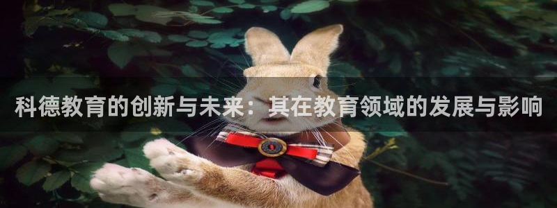 新宝5入口