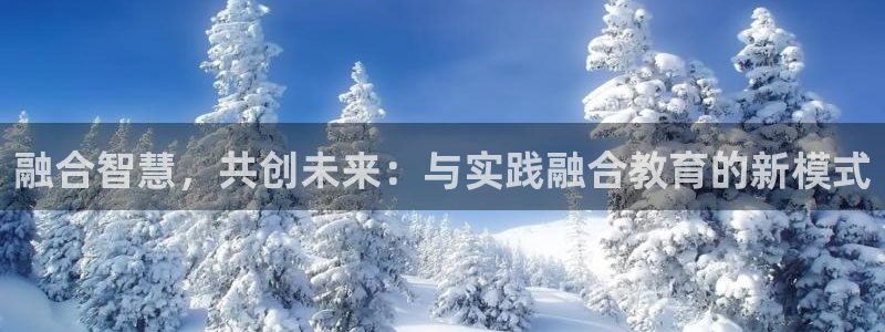 新宝5手机平台登陆