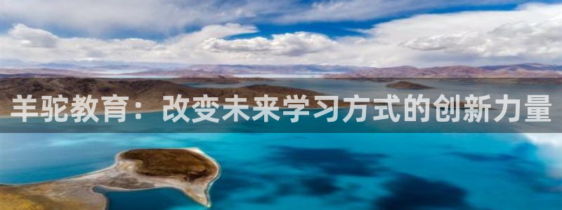 新宝5平台登陆