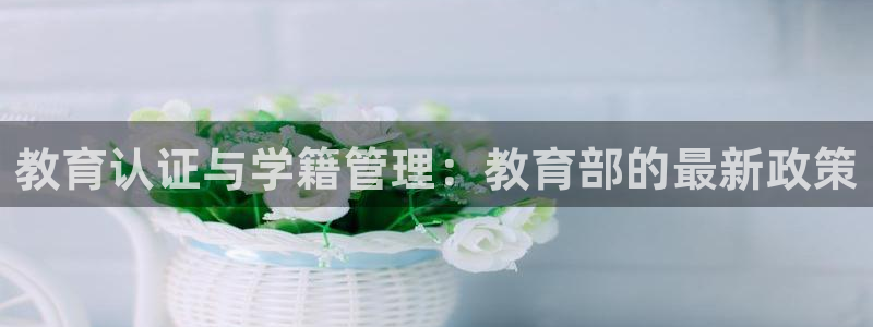 新宝5是什么
