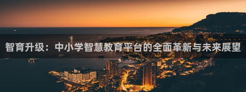 新宝5 代理