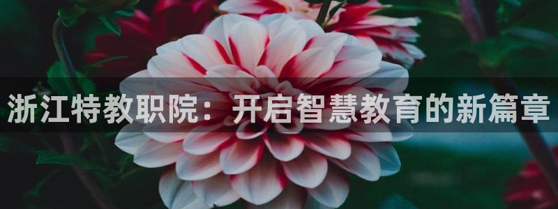 新宝5户端