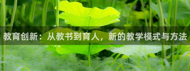 新宝5平台登陆