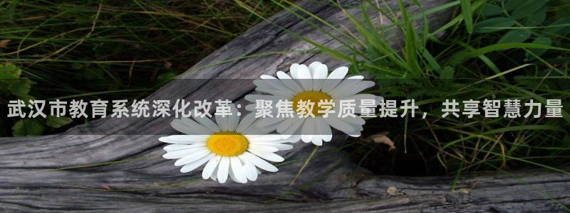 新宝5的网址