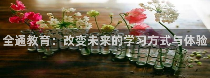 新宝5公司