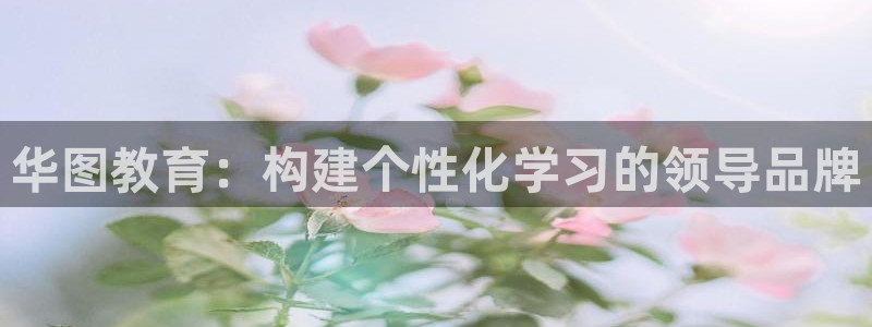 新宝b2O5O5O