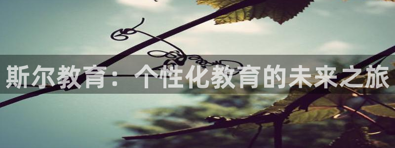 新宝5娱乐经