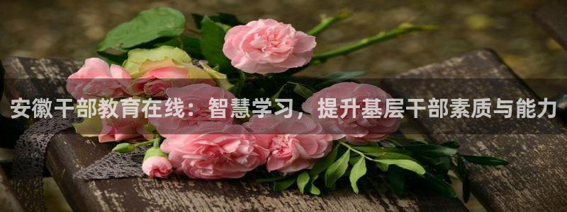 菲律宾新宝5老板
