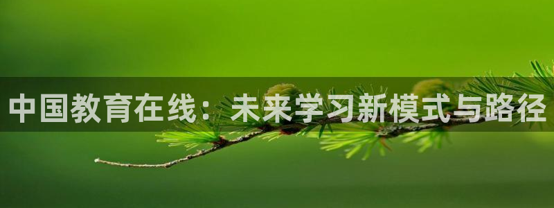 新宝5官网67五壹叁八