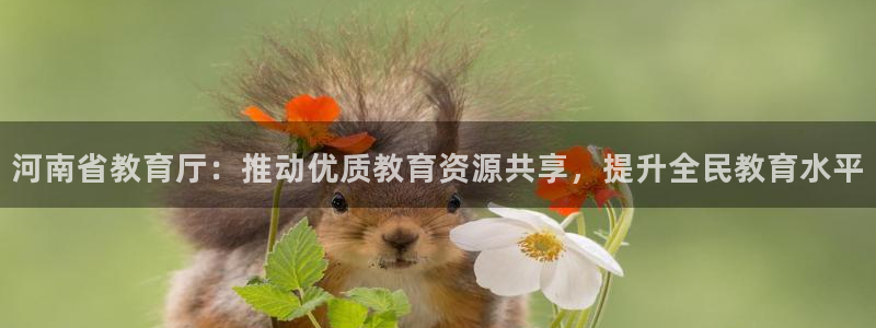 新宝5官网67五壹叁八