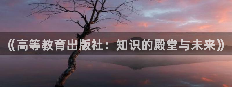 新宝5彩票平台登陆