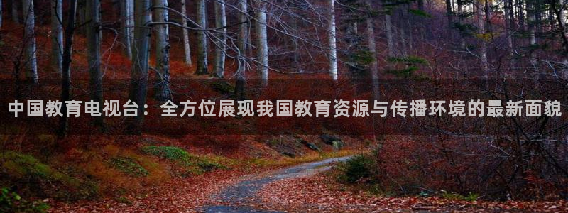 新宝5下载到桌面